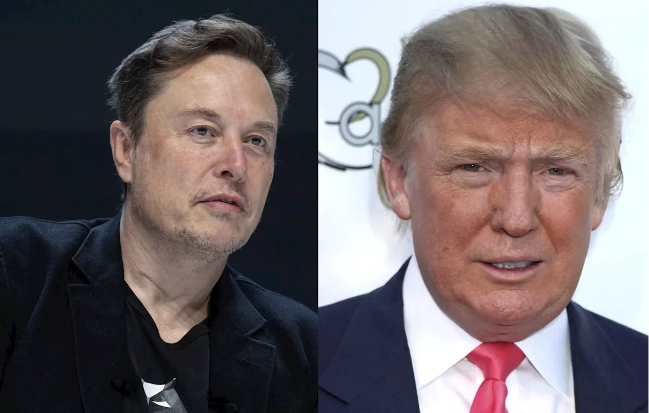 Présidentielle américaine : Donald Trump va accorder « une grande interview » à Elon Musk lundi