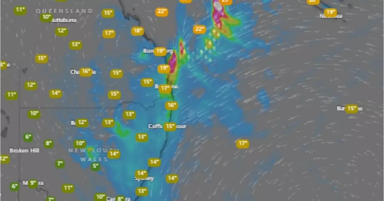 Spring-like weather bringing record warm August nights for Brisbane
