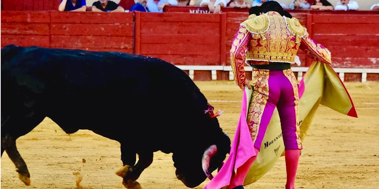 TOROS EN EL PUERTO DE SANTA MARÍA 2024: Morante de la Puebla, hacedor del milagro a la verónica, se lleva l...