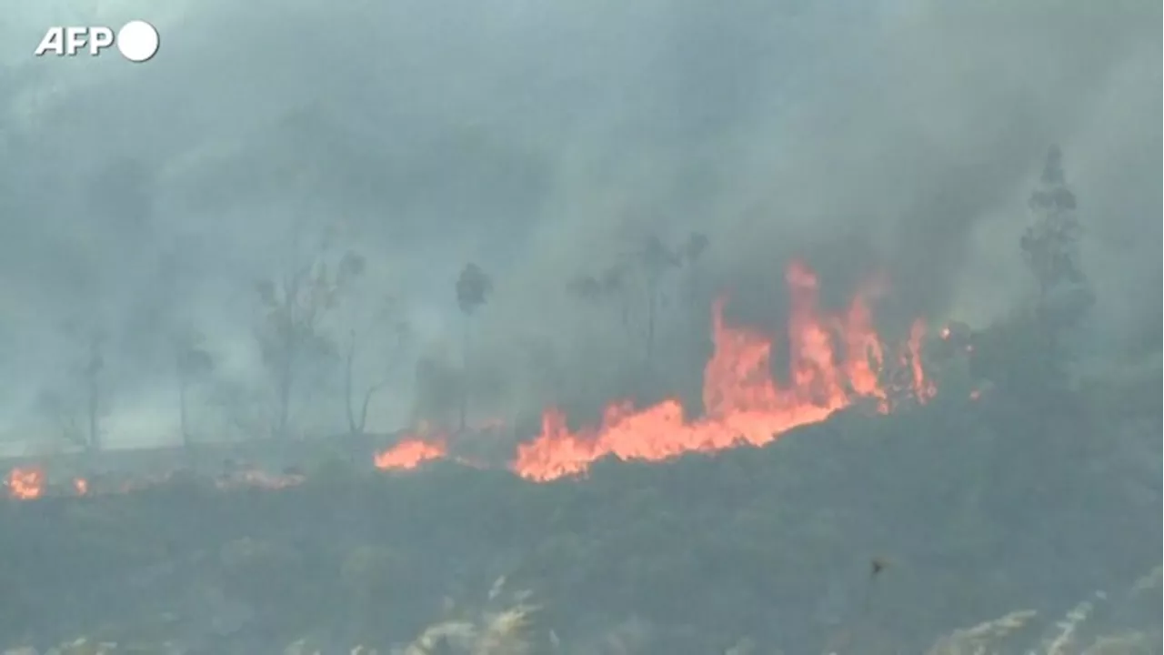 Ancora incendi in Grecia, evacuate altre localita' vicino Atene