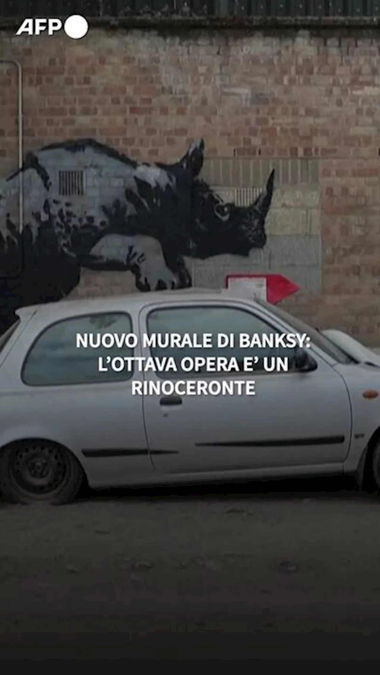 Nuovo murale di Banksy: l'ottava opera e' un rinoceronte