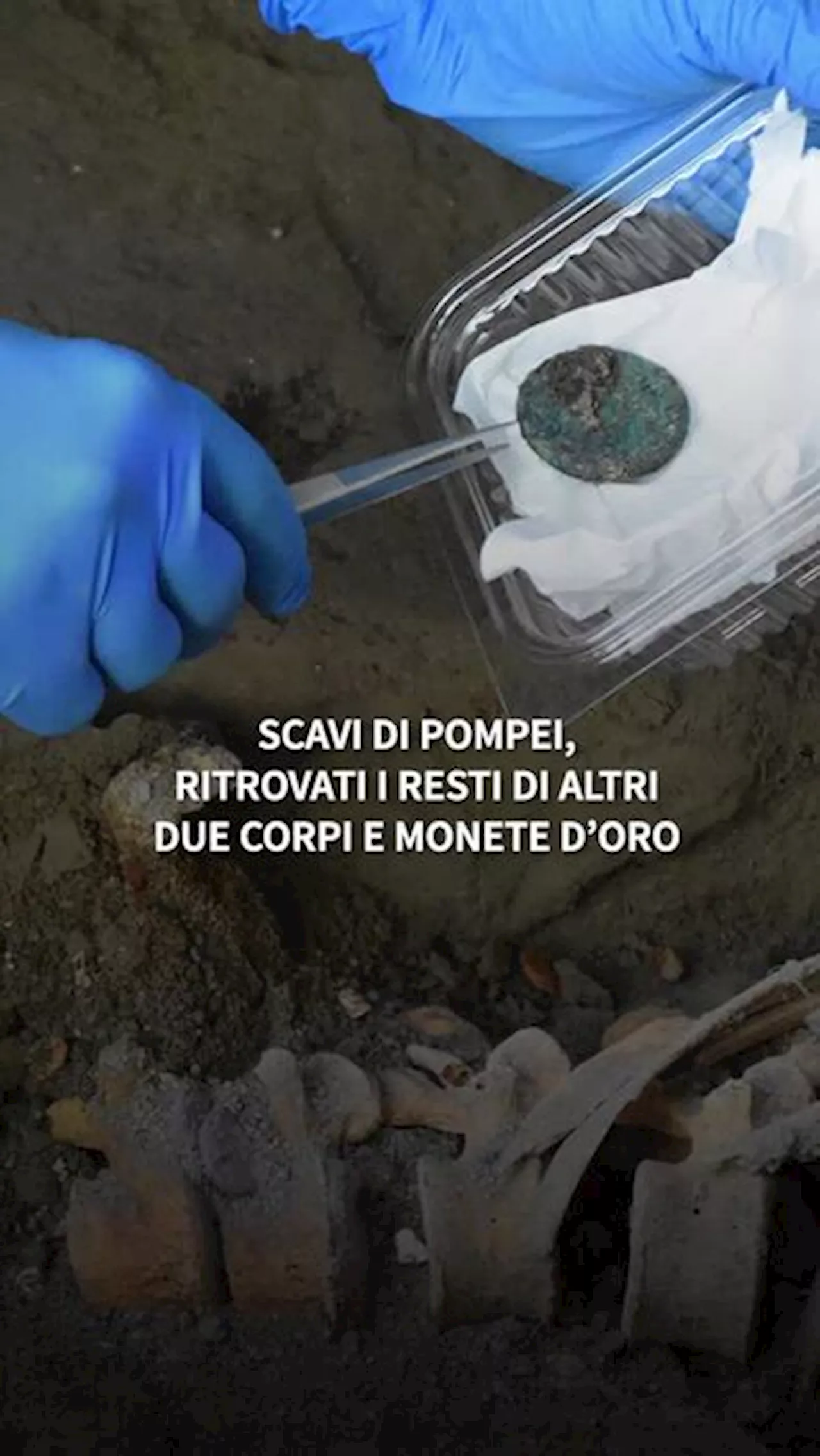 Scavi di Pompei, trovati i resti di altri due corpi