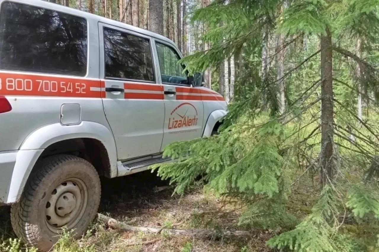 Больше 200 заявок о пропавших в Курской области поступило в «ЛизаАлерт»