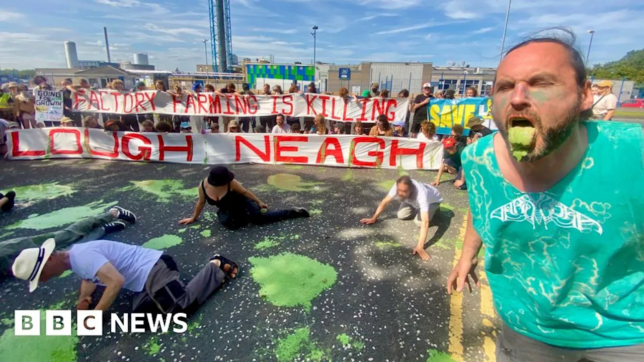 Lough Neagh algae: Activists hold 'vomiting' protest at Moy Park