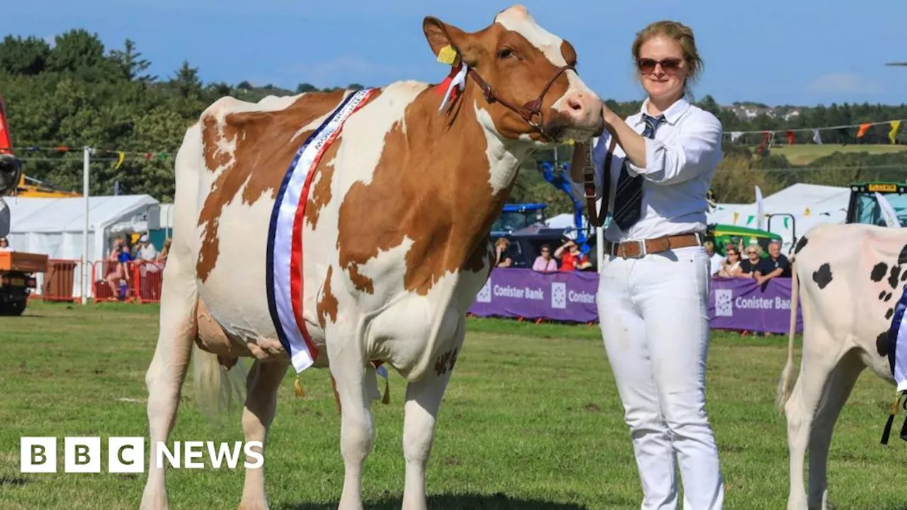 Two days of sunshine lead to a 'bumper year' for Royal Manx Show