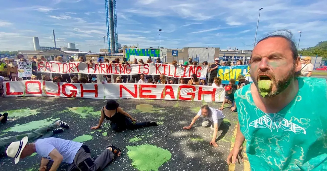 Lough Neagh activists hold 'vomit protest' outside Moy Park chicken factory