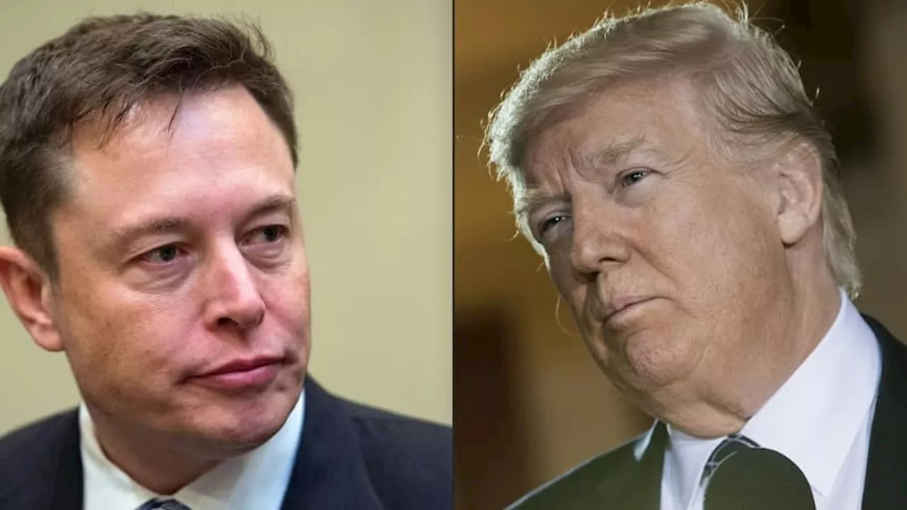 'Divertissement garanti': Donald Trump revient sur Twitter pour une “conversation” avec Elon Musk