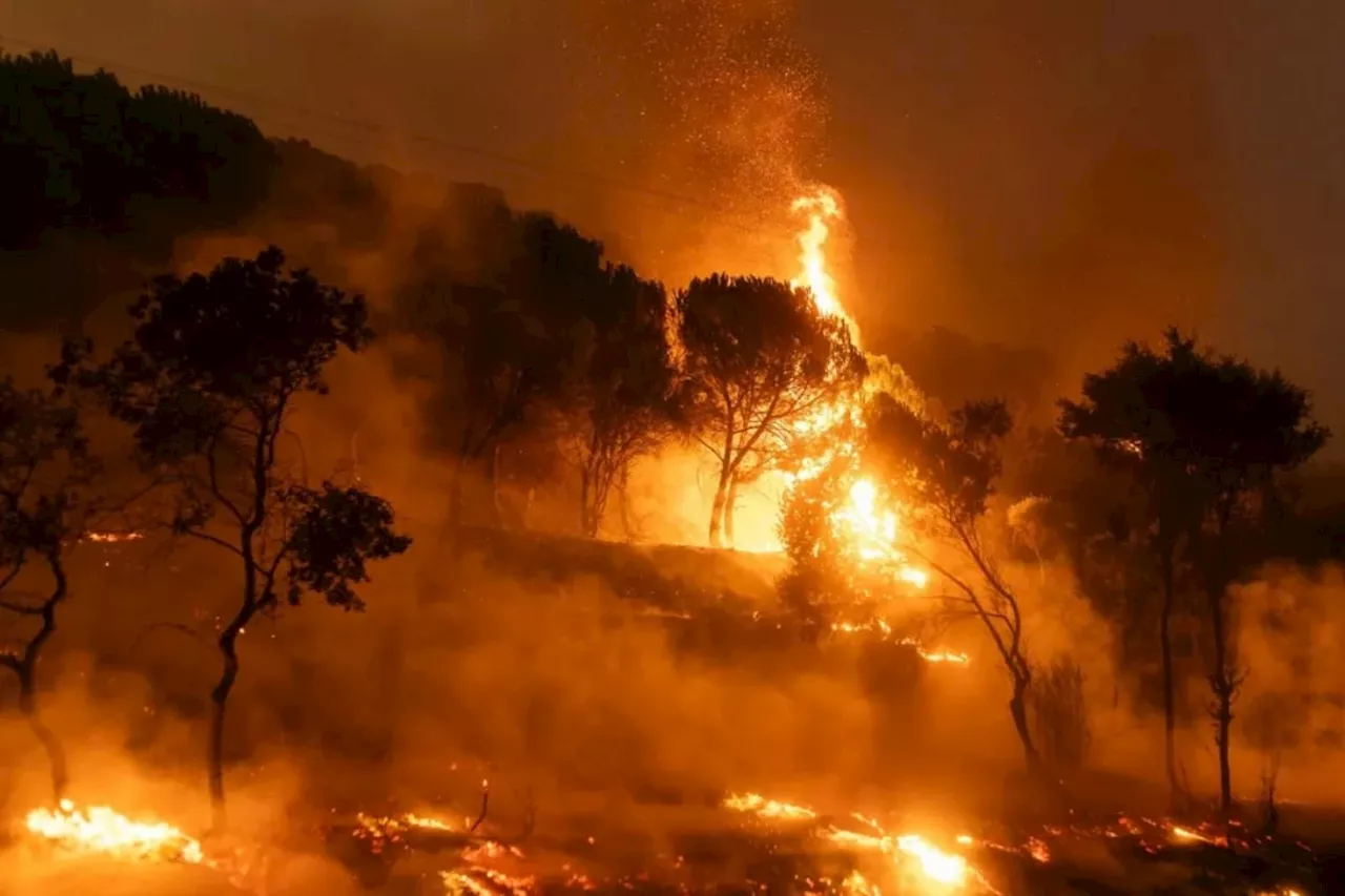 Greek wildfire near Athens, Prompting mass evacuations from towns and hospitals