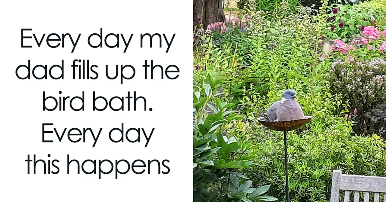 50 Funny Animal Memes From This Dedicated FB Page To Give Your Goose A Gaggle