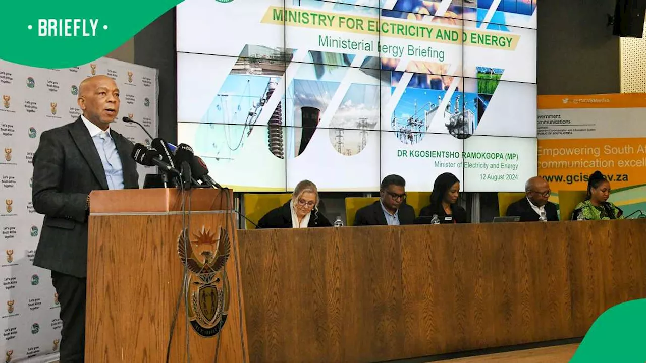 10 Million Households Qualify for Free Electricity: Dr Kgosientsho Ramokgopa