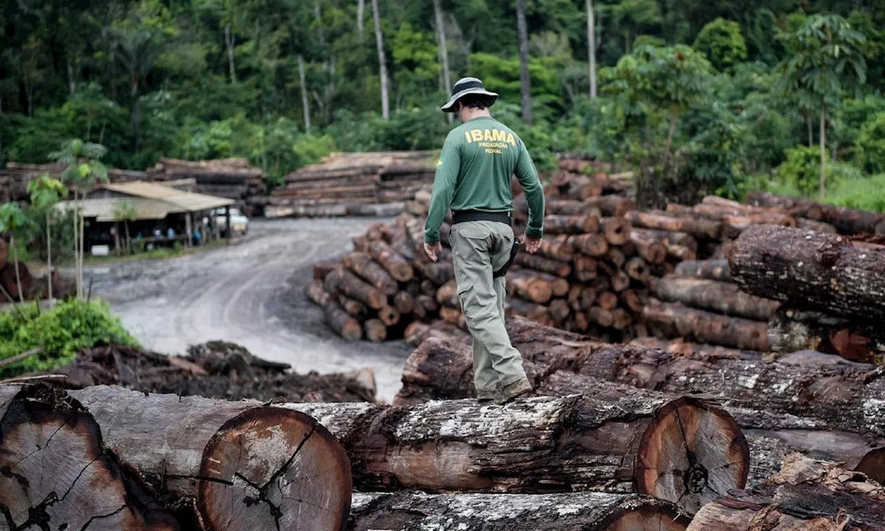 Após um mês e meio de greve, servidores do Ibama sinalizam aceite de proposta salarial