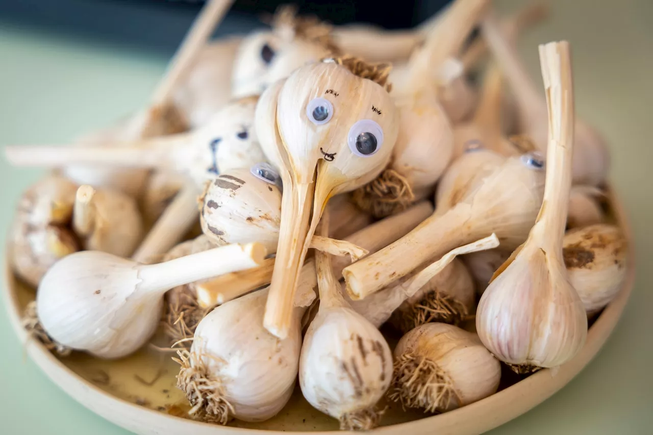 What stinks? Cleveland Garlic Festival to feature garlic ice cream, cotton candy, more in August