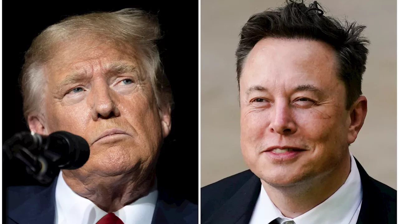 Musk to interview Trump on X, as Harris reshapes presidential race