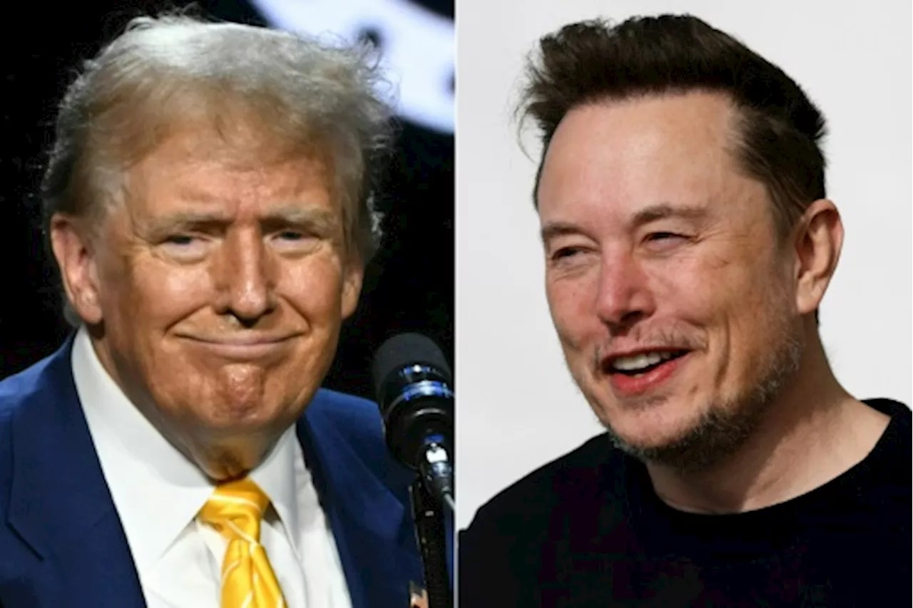 Elon Musk promet une interview 'divertissante' avec Donald Trump