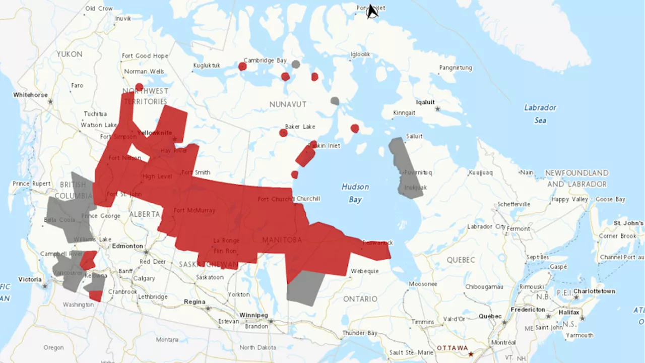 Extreme heat, poor air quality: Here is Canada's forecast for the week