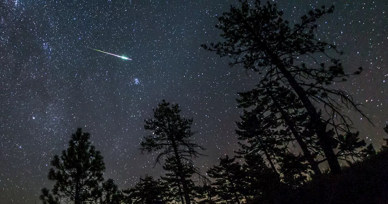 Exact time Perseid meteor shower to peak across Scotland tonight