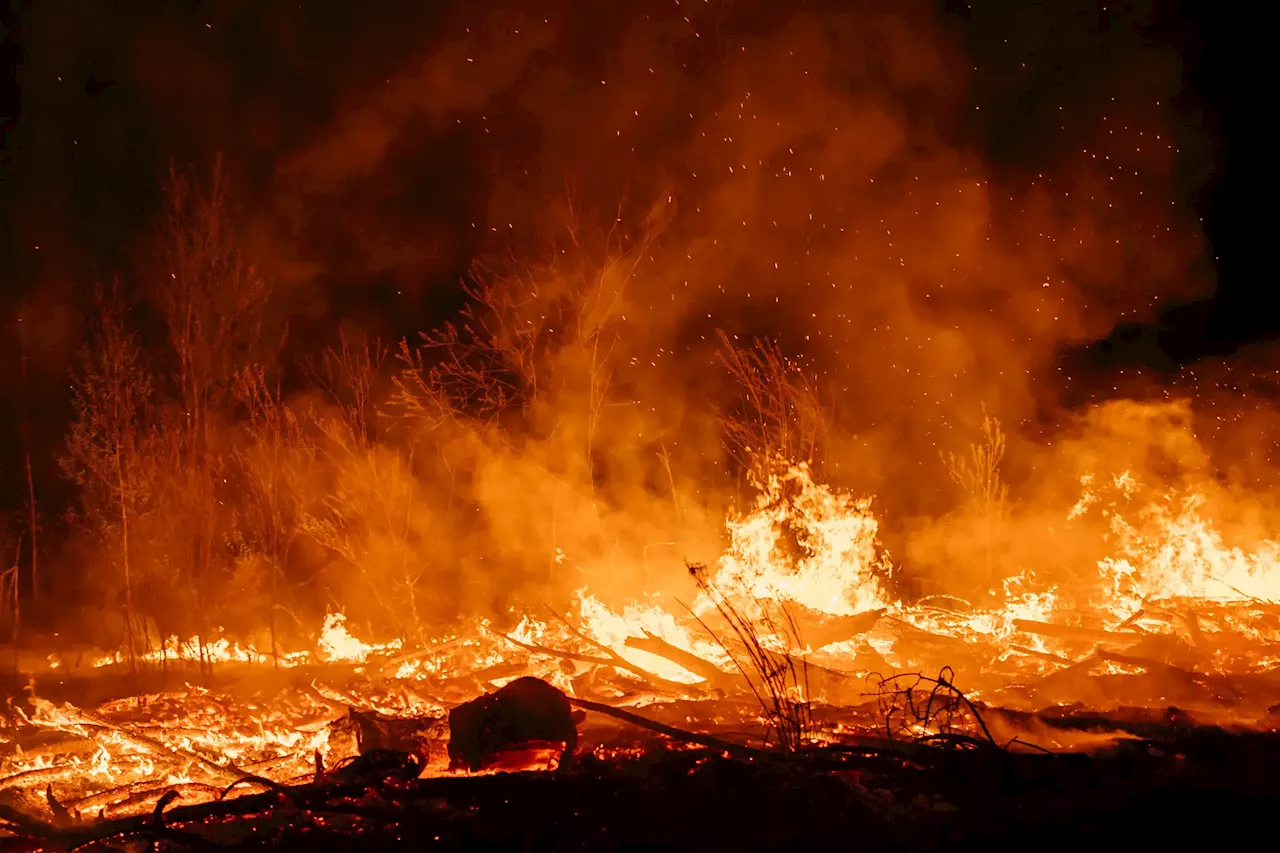 Incêndios em Vimioso “já está dominado”, diz proteção civil