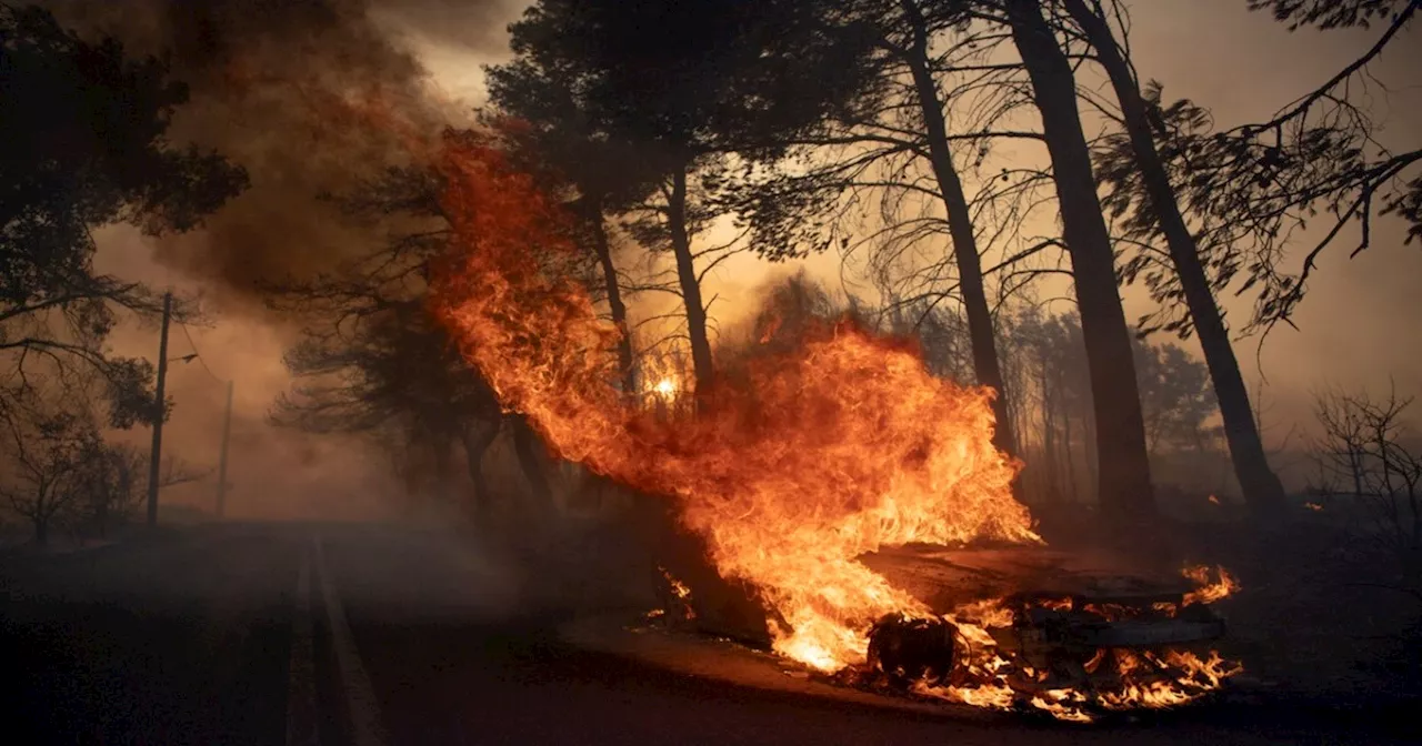 Violento incendio a nord di Atene, fiamme fuori controllo: ordinata l’evacuazione di migliaia di persone