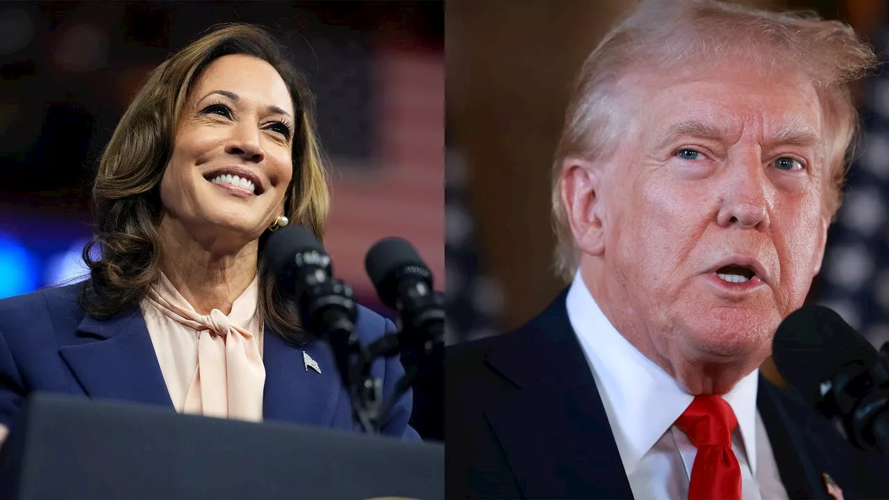 Harris ahead of Trump in 3 battleground states: NYT/Siena poll