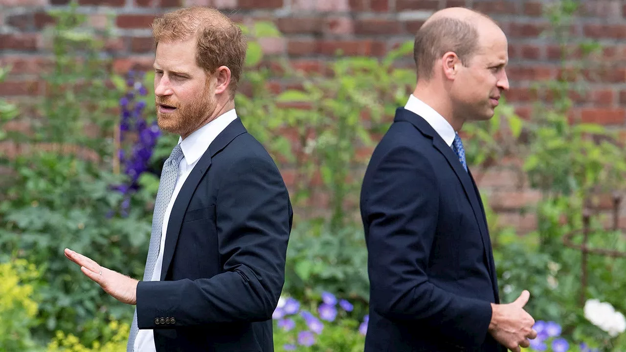 Prince William, Prince Harry's royal cousins hold key to rescue monarchy from warring brothers: experts