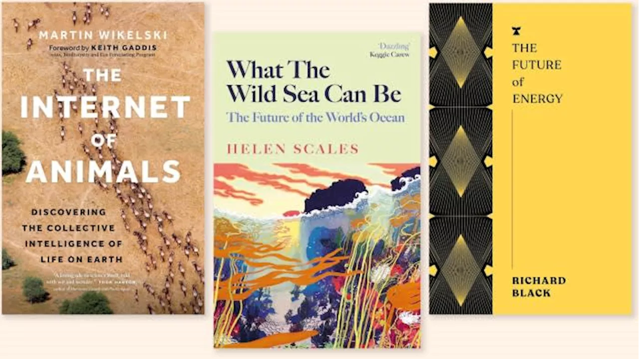 From the power of renewables to the wisdom of animals — notable new books on the environment