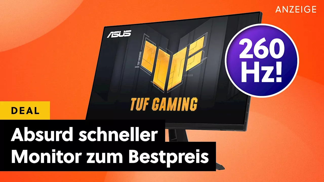 WQHD, 260Hz und 1ms Reaktionszeit: Bahnbrechend schneller Gaming-Monitor von ASUS jetzt günstig wie noch nie bei Amazon!