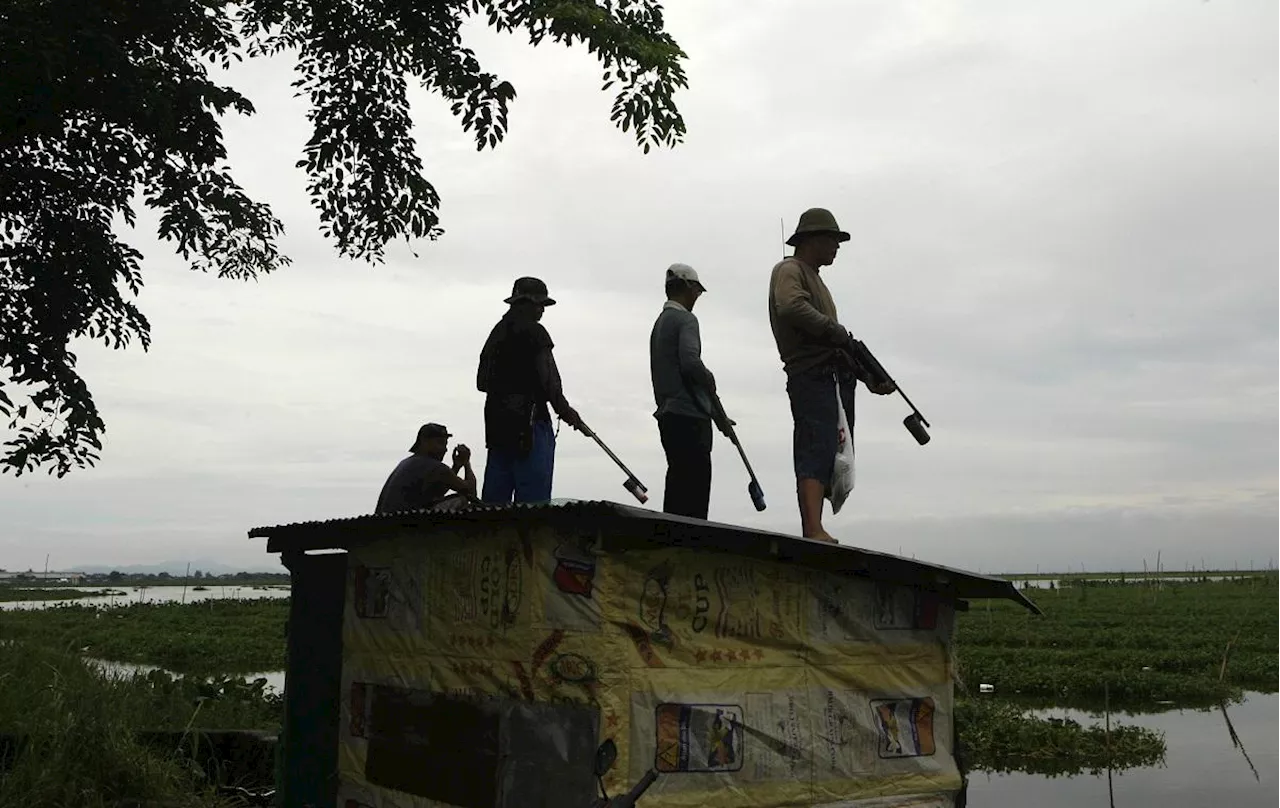 Filipino fishermen worry solar farm on lake will hurt incomes