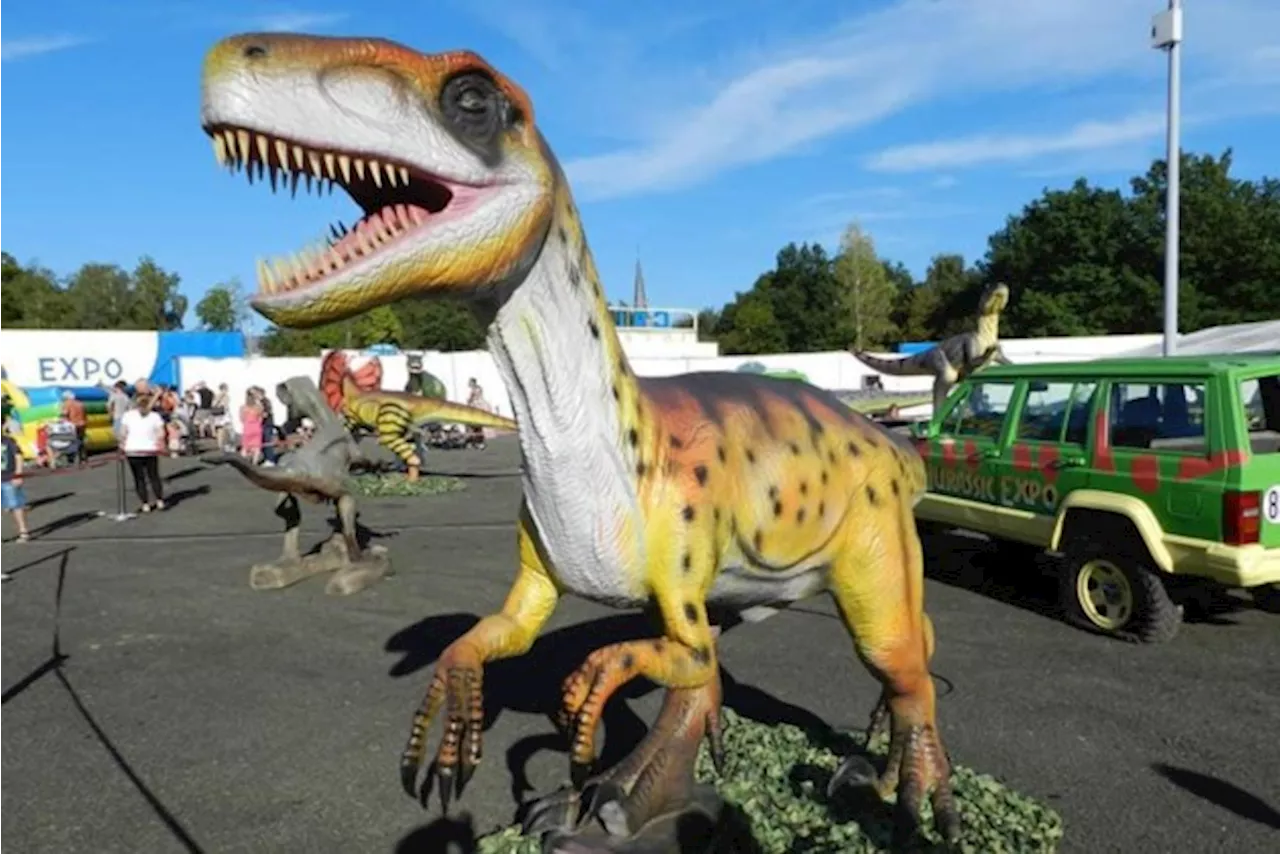 Vijftig levensechte dino’s ‘grazen’ op Schilmart: expo met mega-replica’s vanaf 17 augustus