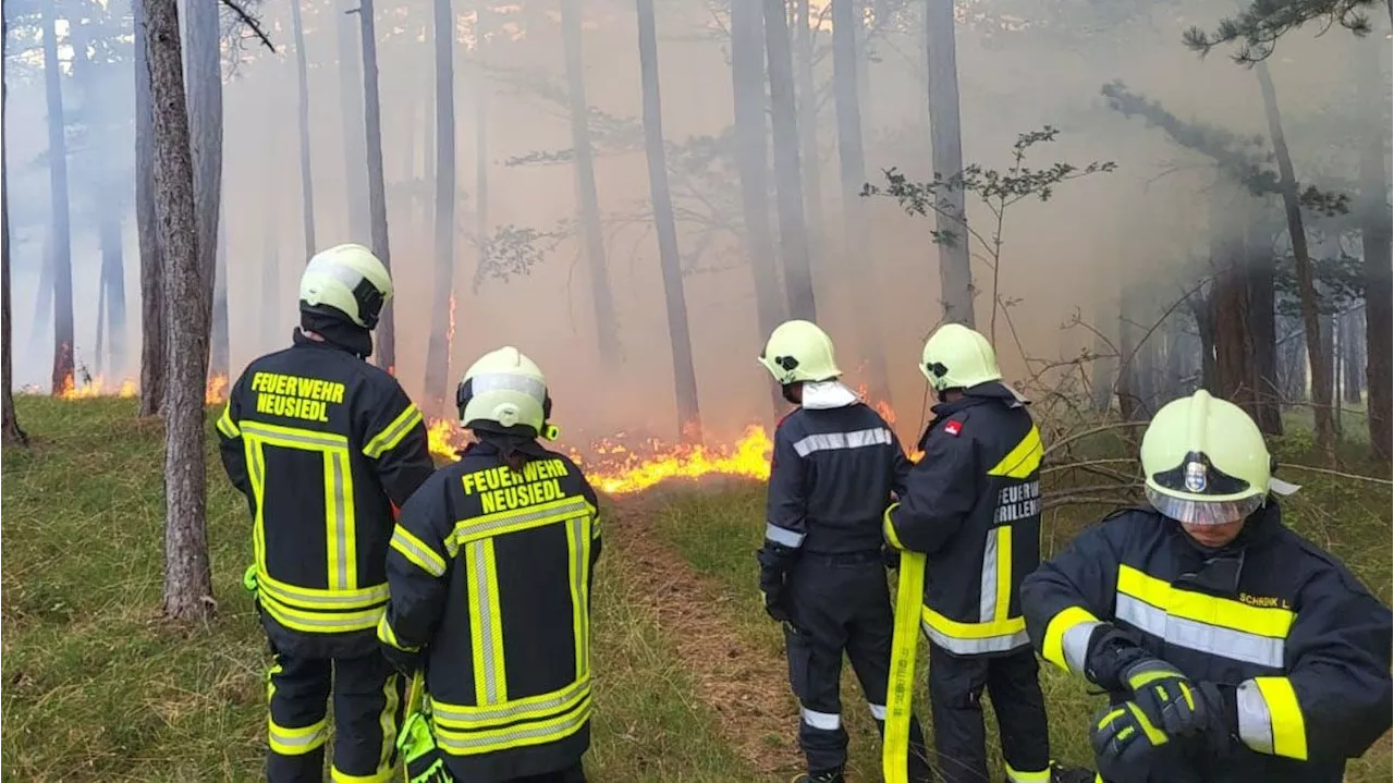 Rauchen im Wald – jetzt drohen 7.270 Euro Strafe