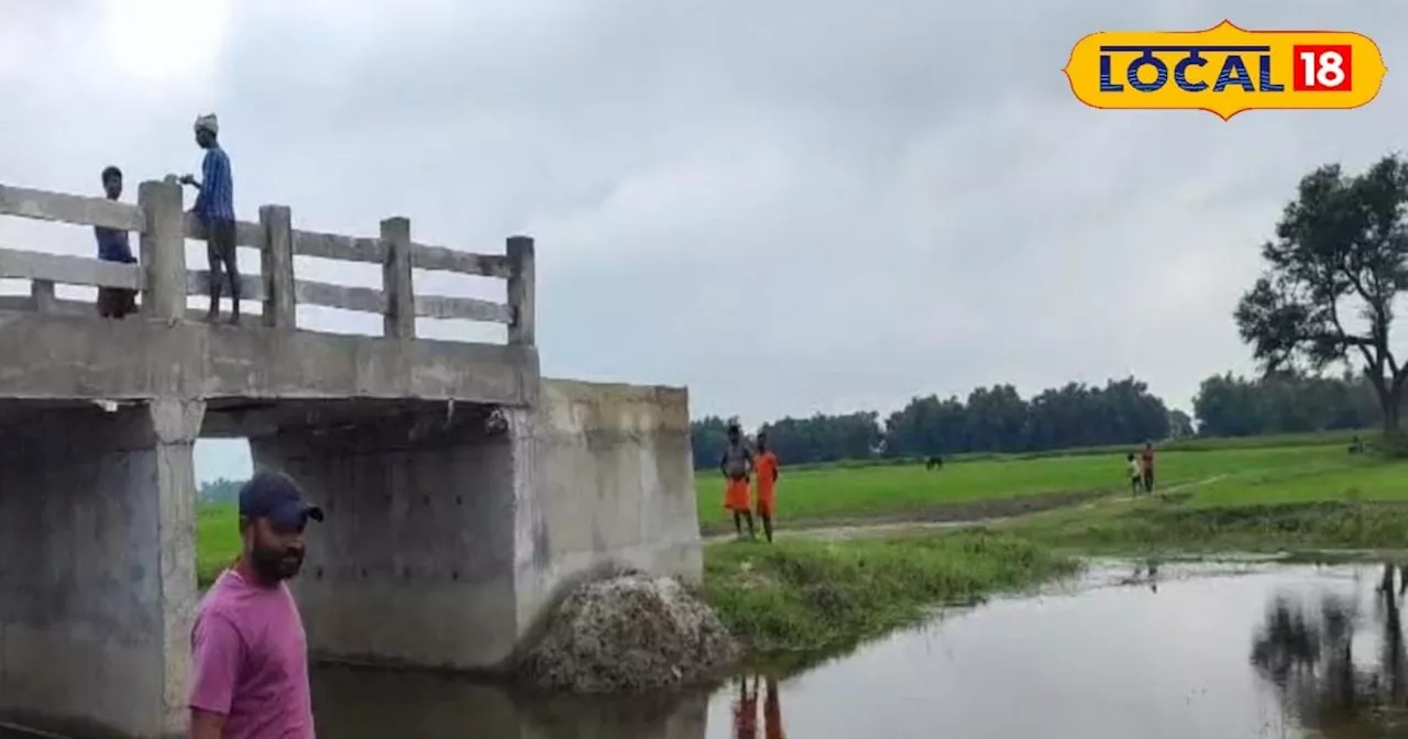 आइये बिहार में आपका स्वागत है: यहां नदी या सड़क के बिना बीच खेत में ही बना दिया पुल, देखकर आप भी कहेंगे वाह...