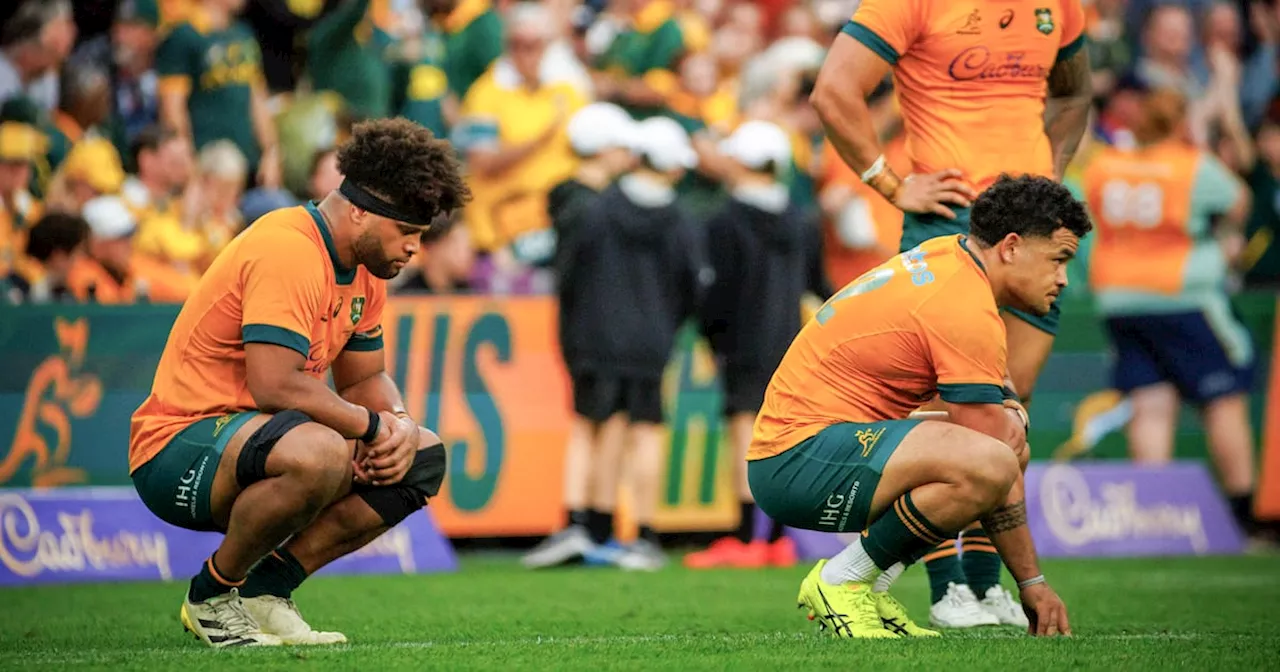 Australia left licking their wounds after mauling by the Springboks