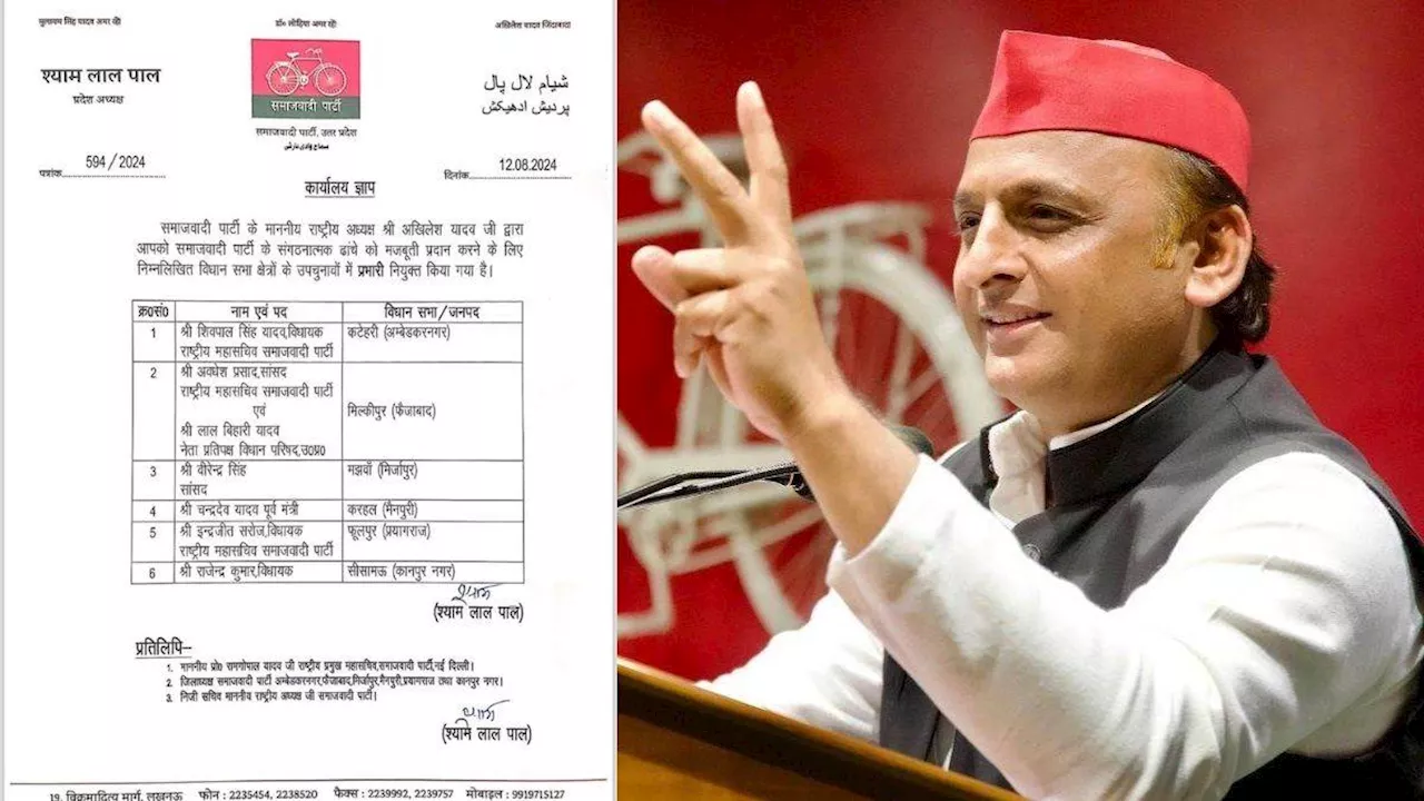 UP Election 2024: जातीय समीकरण को भांप गई सपा, उपचुनाव में सांसदों और विधायकों को सौंपी जिम्मेदारी