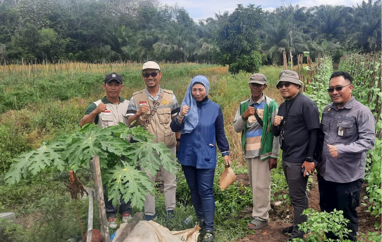 Tak Kenal Waktu Libur, Kepala BPPSDMP Temukan Solusi Perluasan Areal Tanam di Barito Kuala