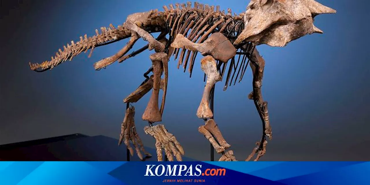 Gara-gara Hujan Lebat, Ilmuwan Temukan Kerangka Dinosaurus yang Diyakini Tertua di Dunia