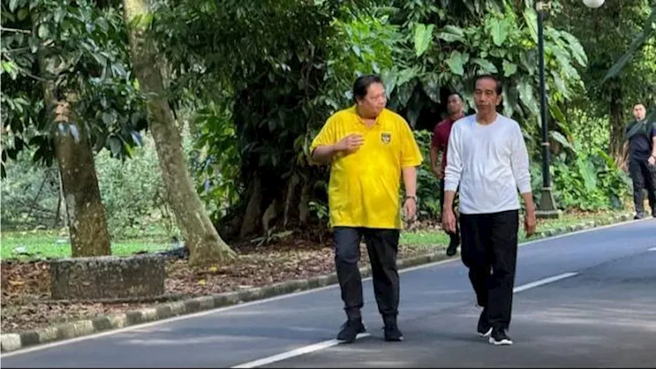 Istana Bantah Jokowi Ada Kaitan dengan Mundurnya Airlangga dari Ketum Golkar: Tidak Ada Sama Sekali