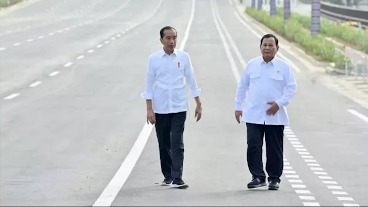 Jokowi Dorong Swasta Investasi di Luar Kawasan Inti IKN, Tegaskan Pemerintah Dukung Infrastrukturnya