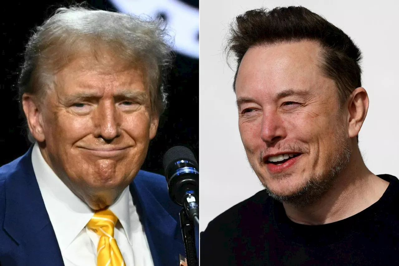 Elon Musk promet une interview «divertissante» avec Donald Trump