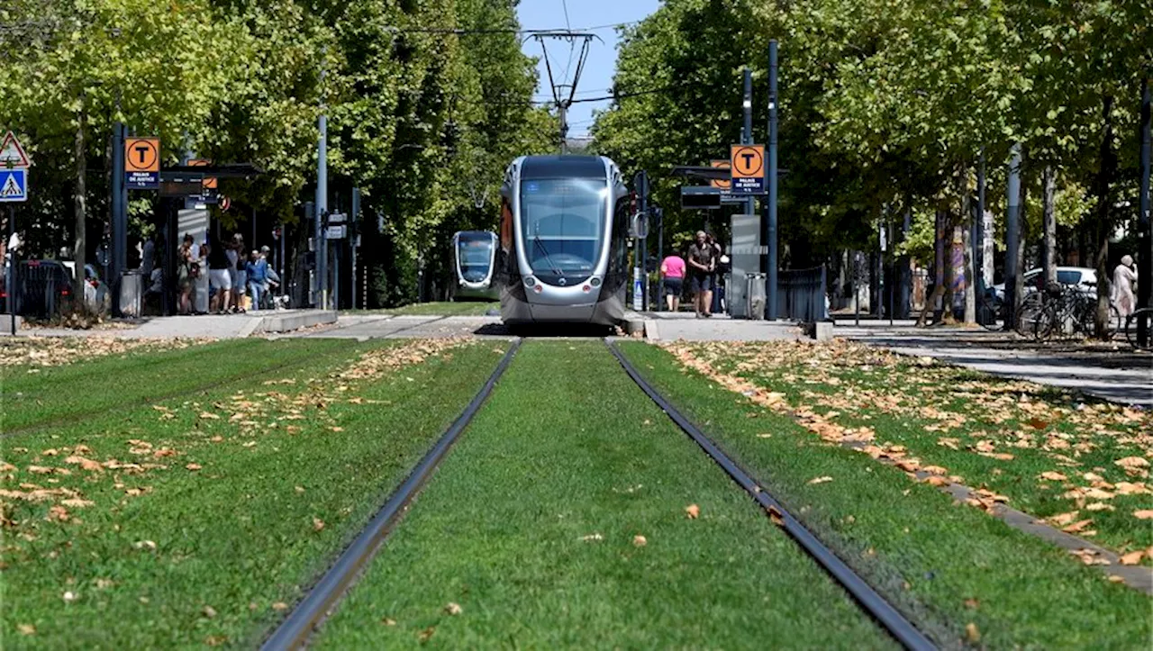 Toulouse : pourquoi la ville continue à arroser ses espaces verts, même en période de fortes chaleurs