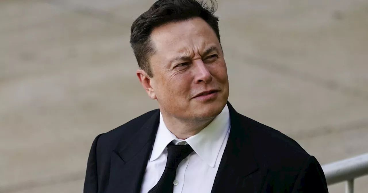 With lawsuit against advertisers, Elon Musk plumbs new depths of asininity