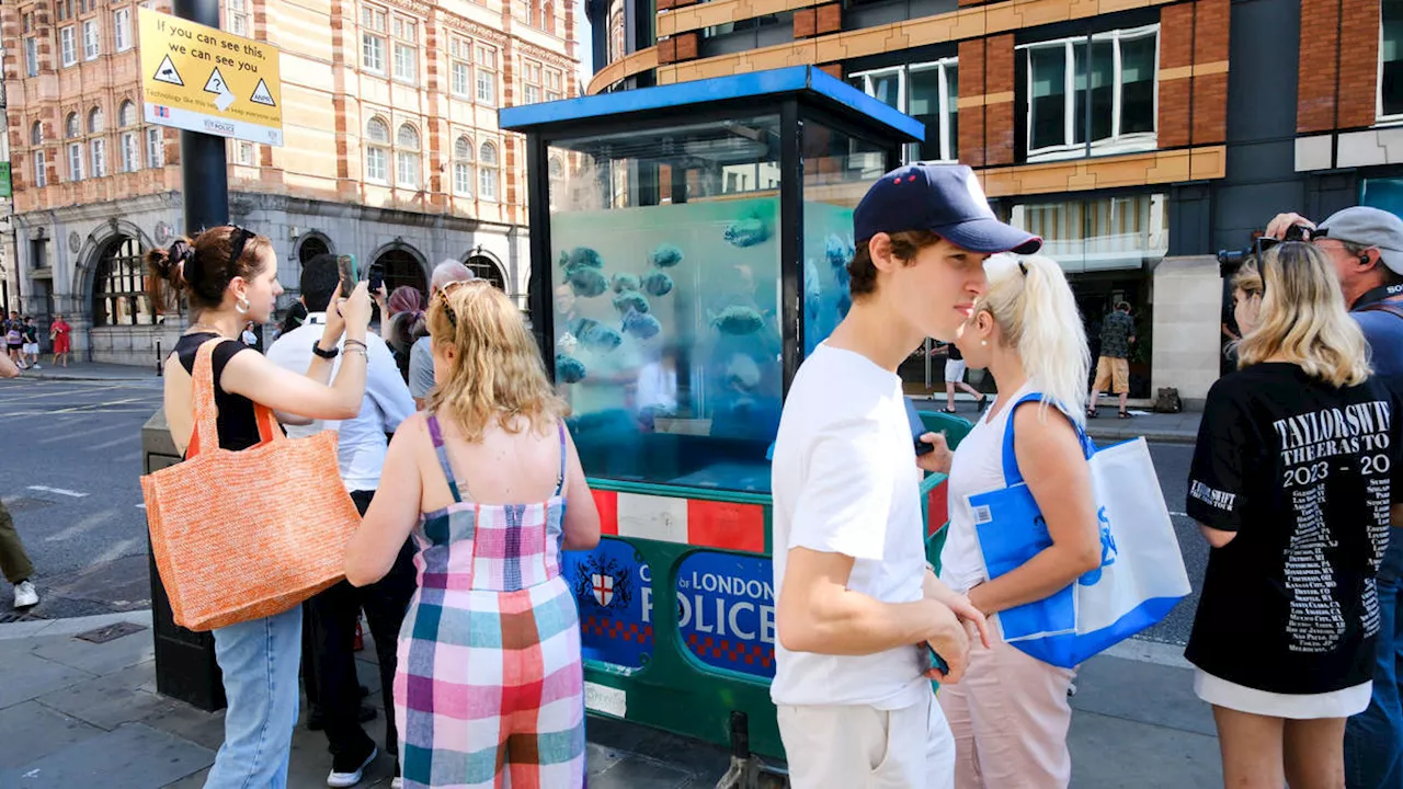 Piranhas on City of London police box confirmed as new Banksy artwork