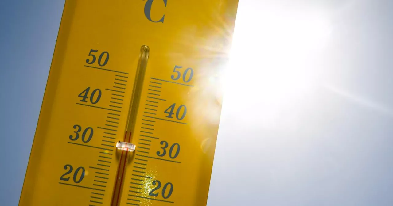La Terre a connu son mois de juillet le plus chaud jamais enregistré