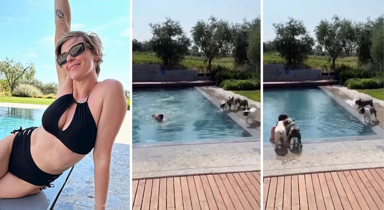 Federica Pellegrini si tuffa in piscina, ma i cagnolini si spaventano per lei: «Non sanno con chi hanno a che