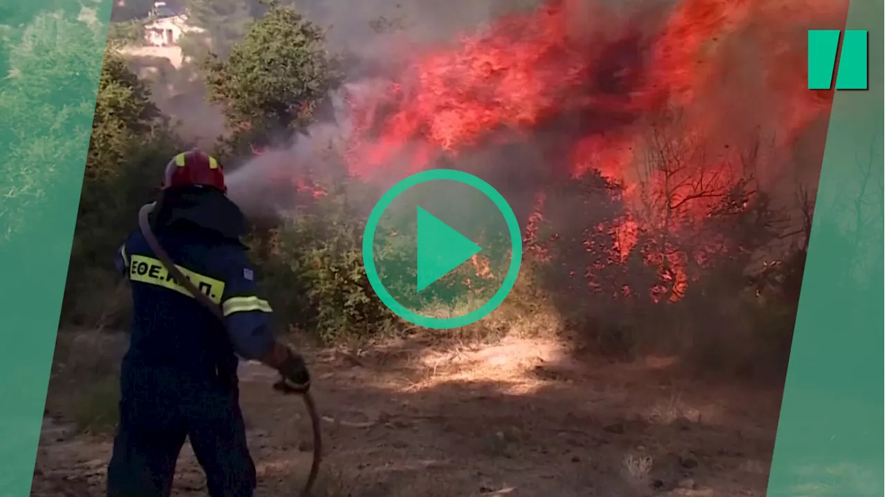 Incendies en Grèce : les évacuations se multiplient près d’Athènes