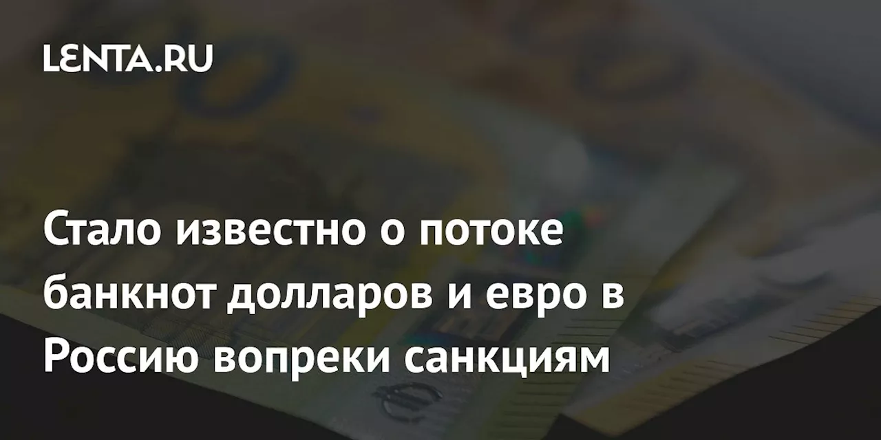 Стало известно о потоке банкнот долларов и евро в Россию вопреки санкциям