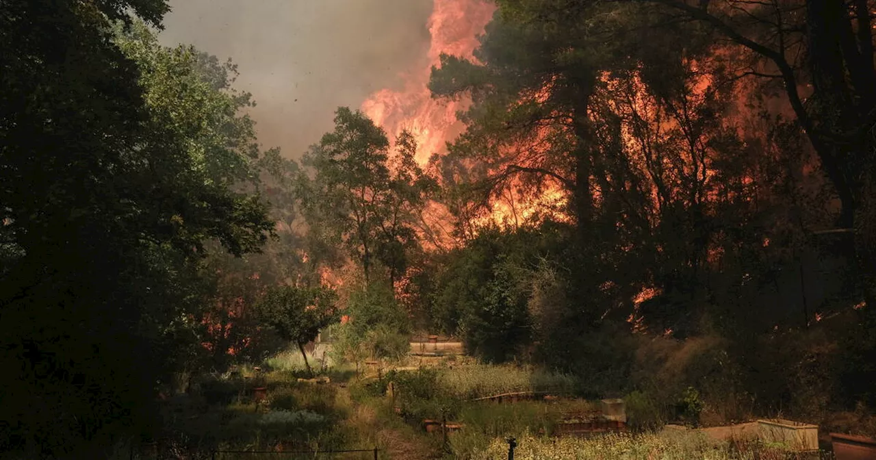 Incendie en Grèce : la France envoie 180 sapeurs-pompiers et 55 camions en renfort