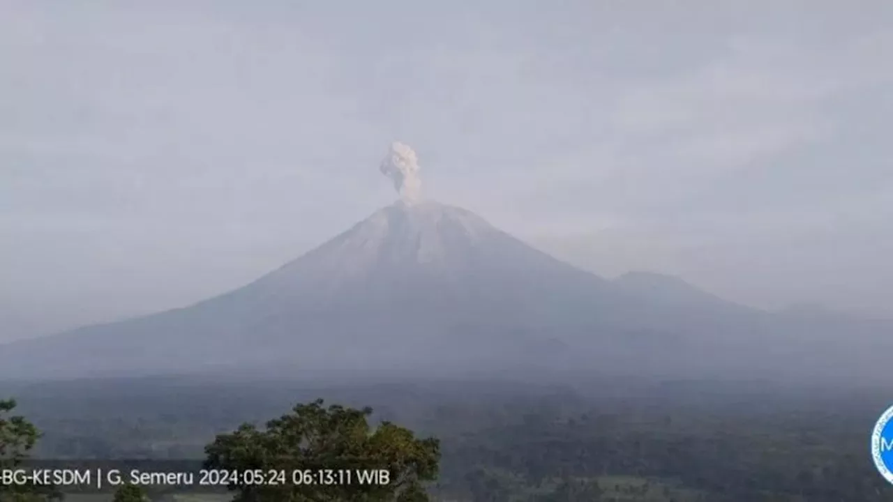 Gunung Semeru Kembali Erupsi Senin Pagi Ini, Lontarkan Abu Vulkanik Setinggi 800 Meter