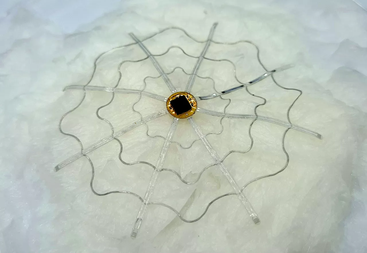 Biodegradable electronic tent technology offers less invasive brain disease diagnosis