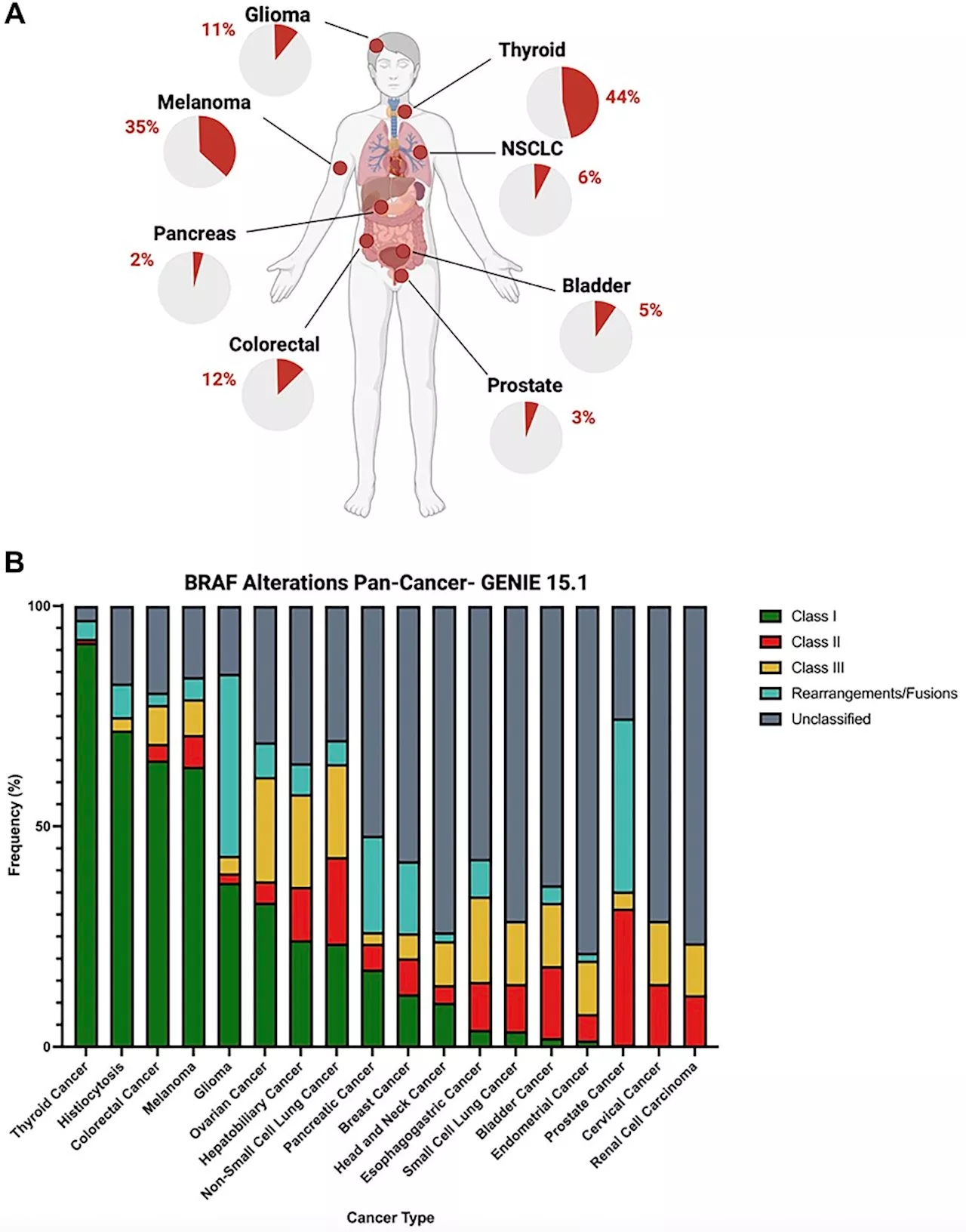 New directions in targeting the multifaceted BRAF in cancer