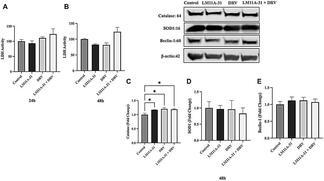 Study examines novel drug candidate for treatment of neuroHIV