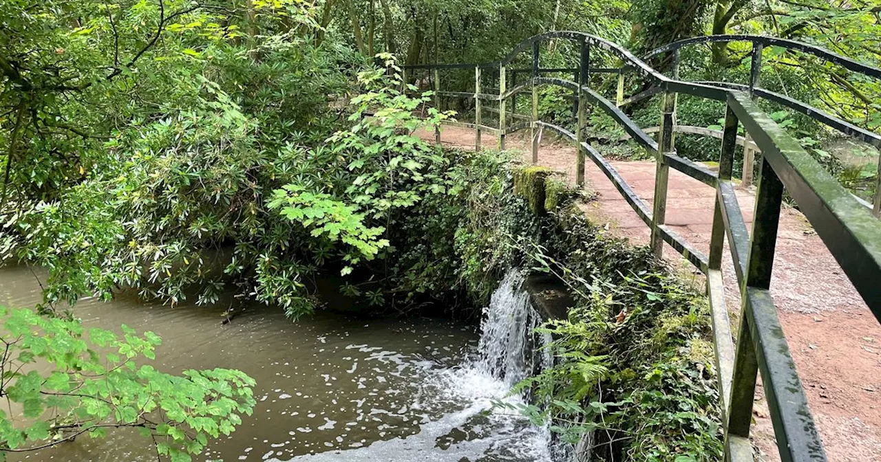 ‘I visited a lake only a 20 minute drive from Manchester that felt a world away’